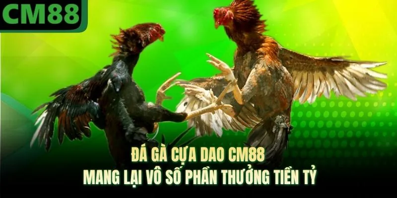 Đá Gà Cựa Dao CM88 Mang Lại Vô Số Phần Thưởng Tiền Tỷ