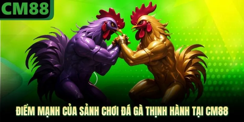 Điểm mạnh của sảnh chơi đá gà thịnh hành tại CM88