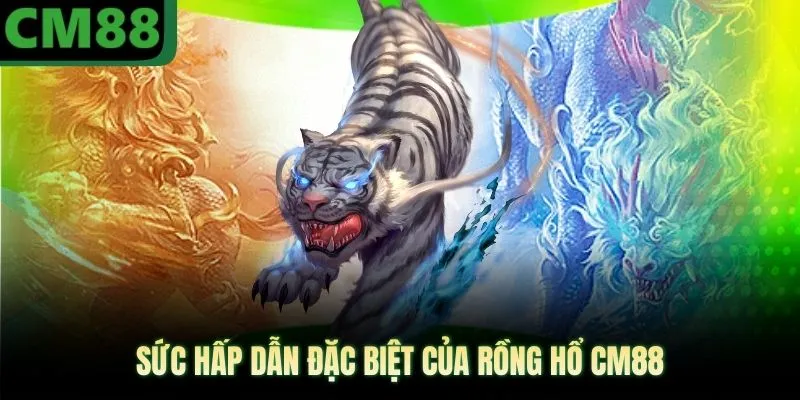 Sức hấp dẫn đặc biệt của rồng hổ CM88